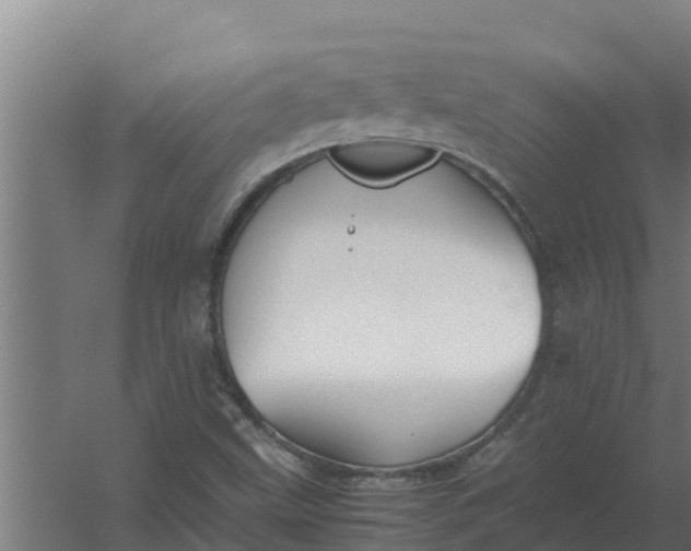 X0000059831499200511041732