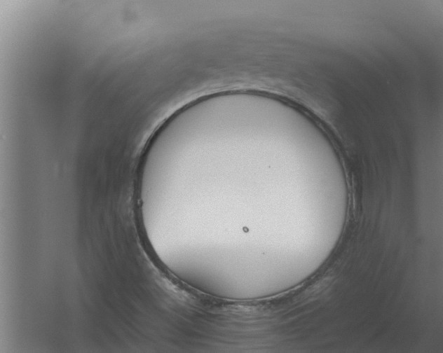 X0000059831500200511041732