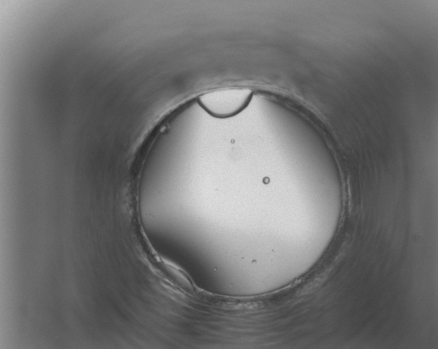 X0000059831501200511041732