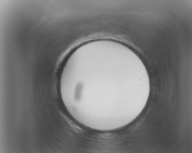 X0000059831502200511041732