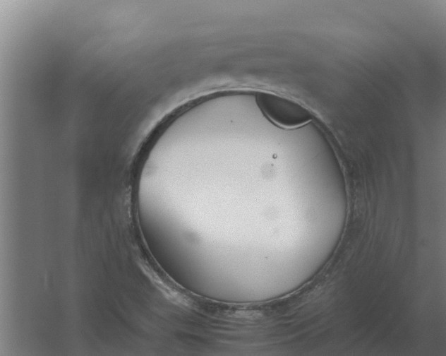 X0000059831503200511041732