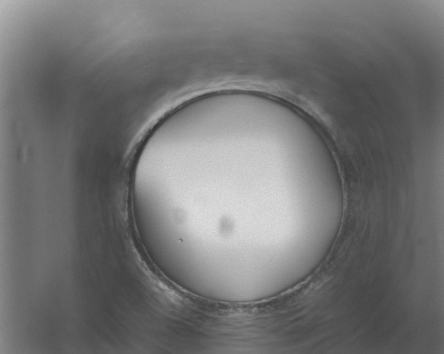 X0000059831504200511041732