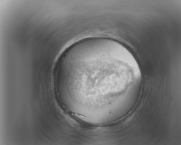 X0000059831506200511041732