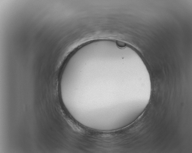 X0000059831507200511041732