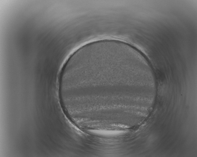 X0000059831508200511041732