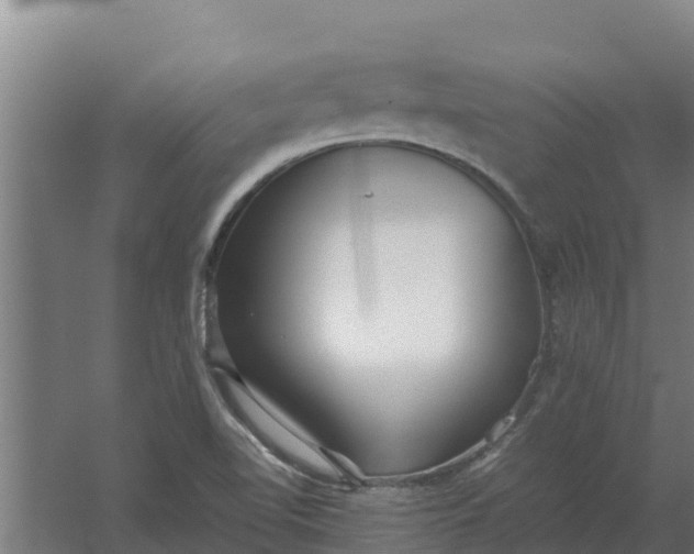 X0000059831510200511041732