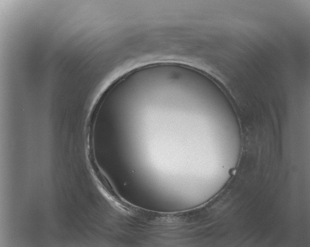 X0000059831511200511041732