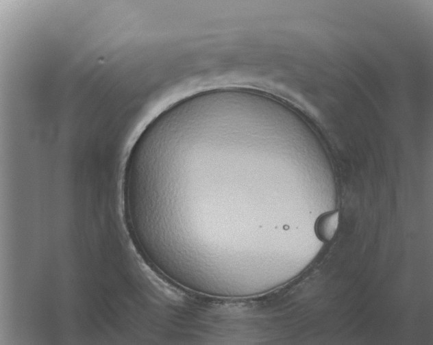 X0000059831512200511041732