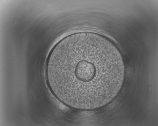 X0000059831514200511041732