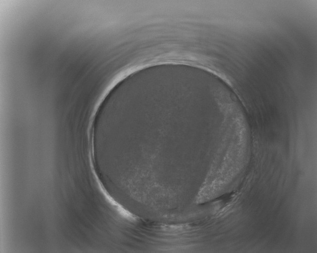 X0000059831515200511041732