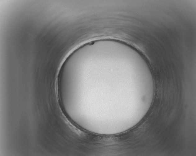 X0000059831516200511041732