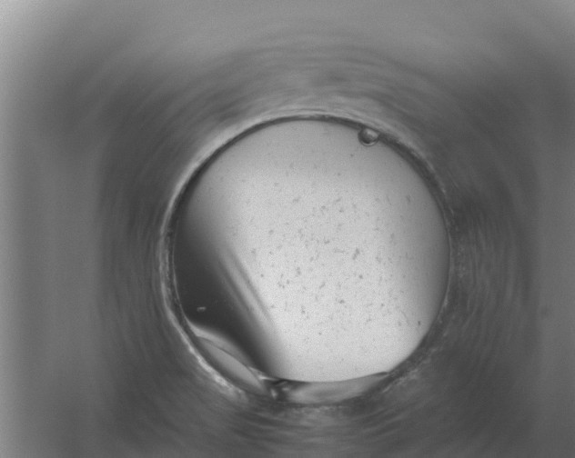 X0000059831517200511041732