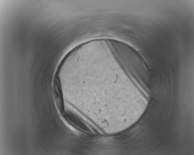 X0000059831519200511041732