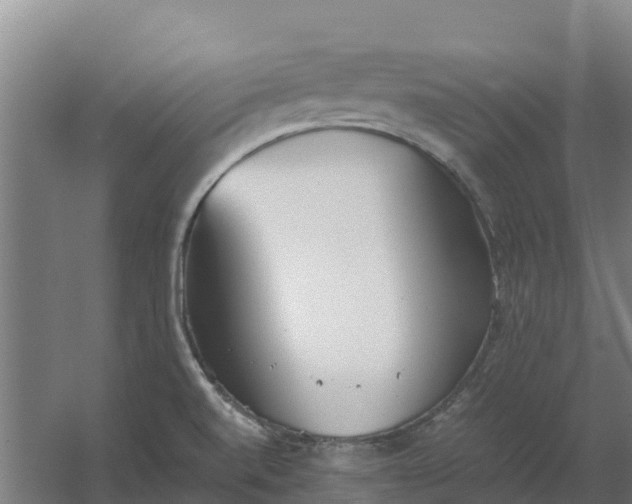 X0000059831520200511041732