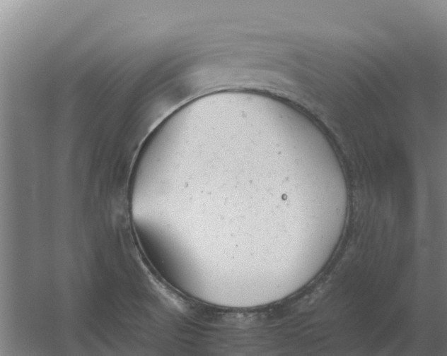 X0000059831521200511041732