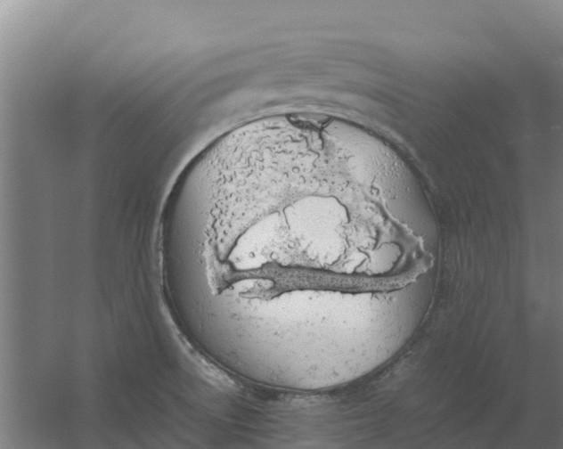 X0000059831522200511041732