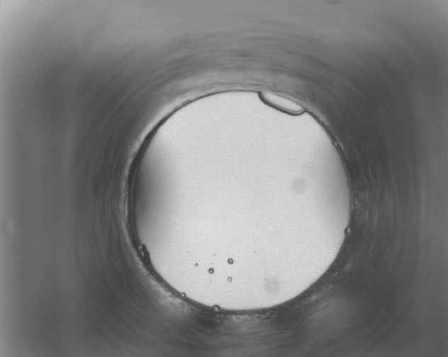 X0000059831523200511041732