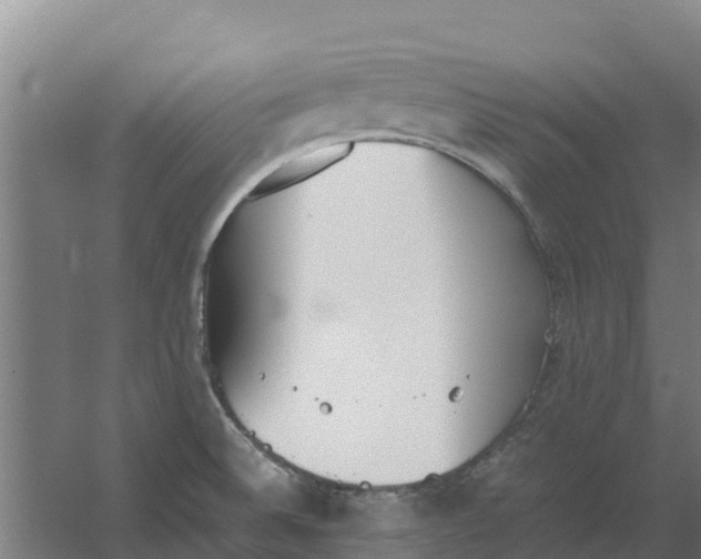 X0000059831524200511041732