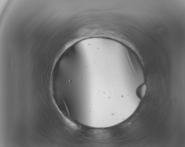 X0000059831525200511041732