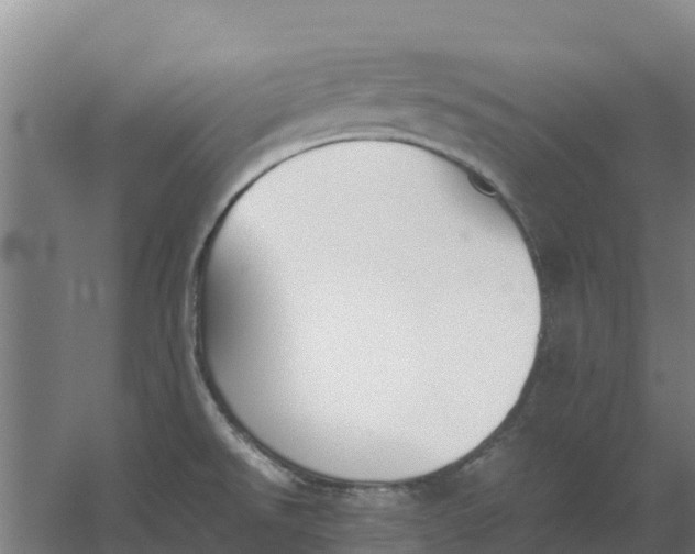 X0000059831526200511041732