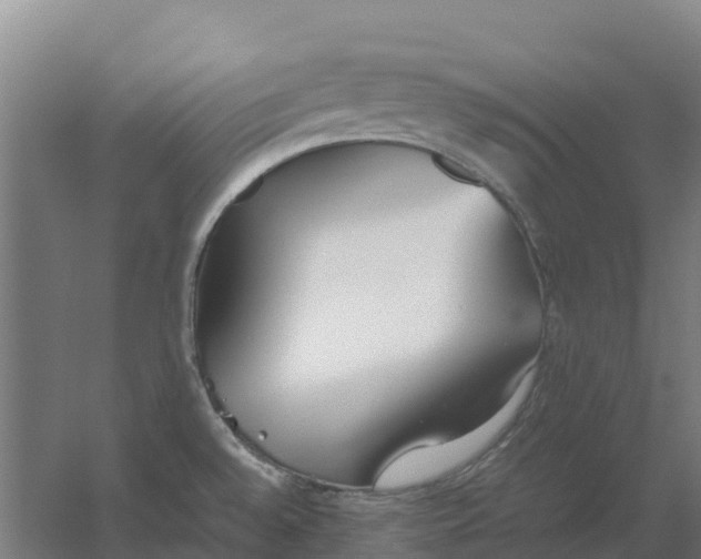 X0000059831528200511041732