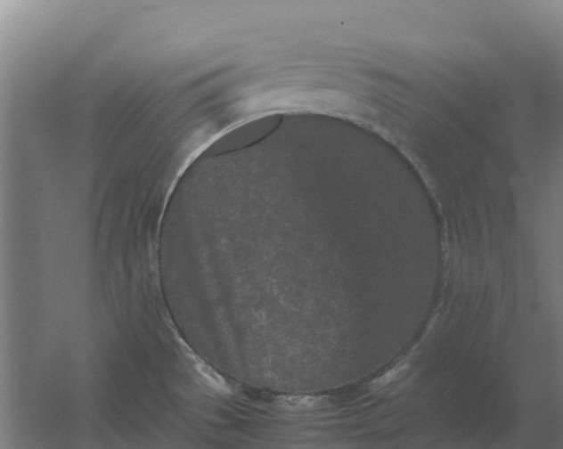 X0000059831529200511041732