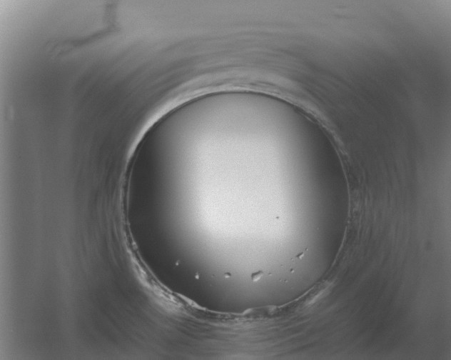 X0000059831530200511041732