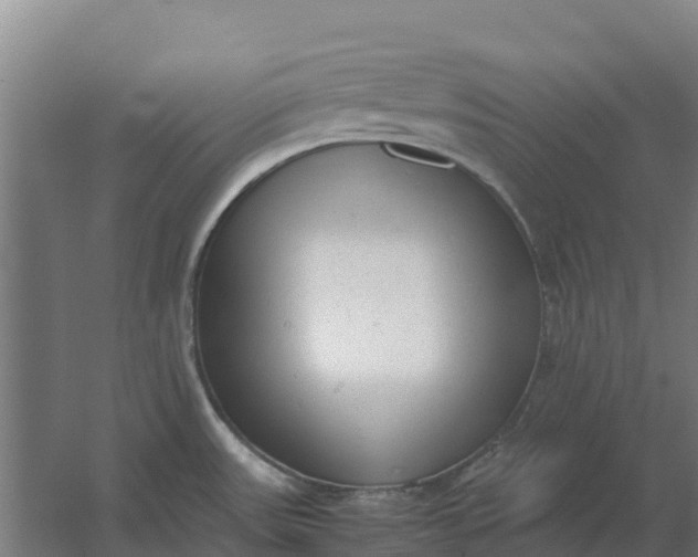 X0000059831531200511041732