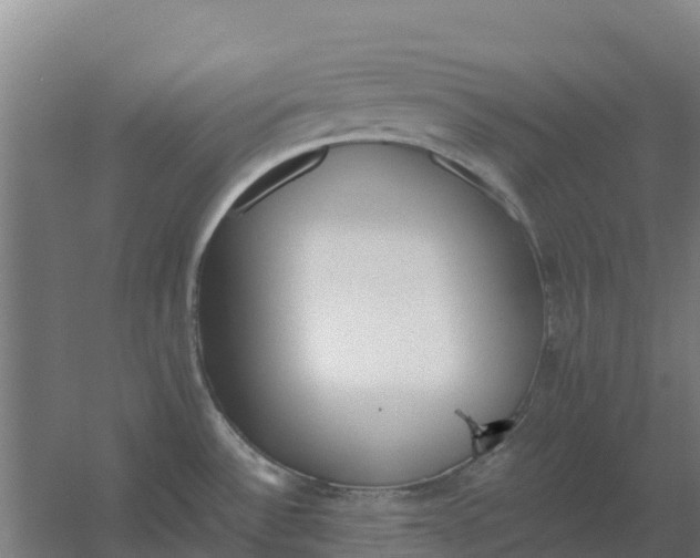 X0000059831532200511041732