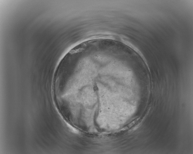 X0000059831533200511041732