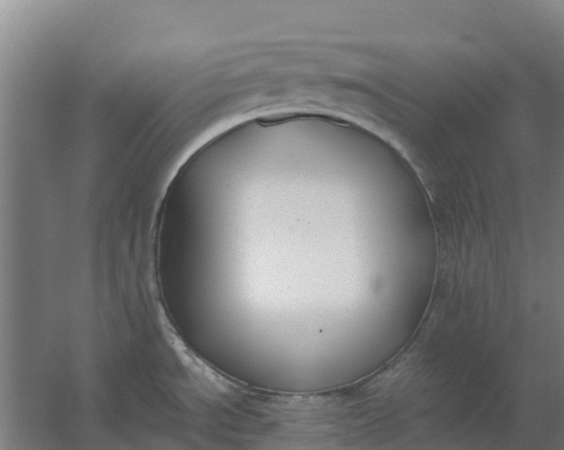 X0000059831534200511041732