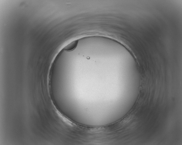 X0000059831535200511041732