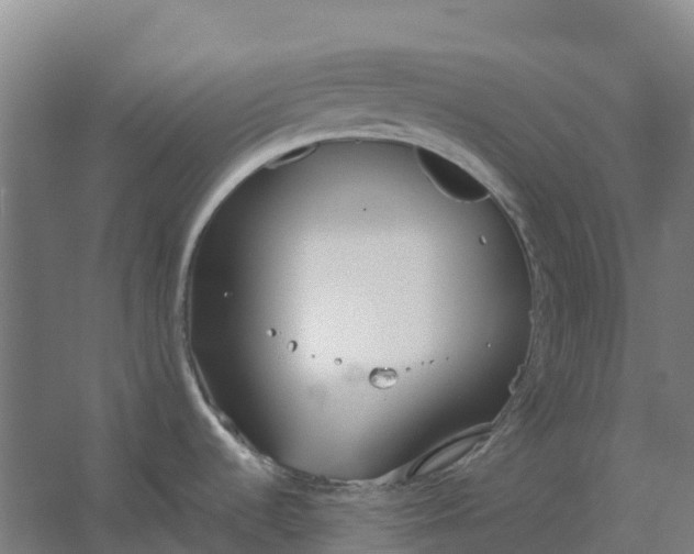 X0000059831536200511041733