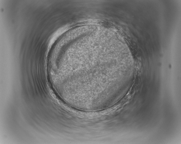 X0000059830006200511111731