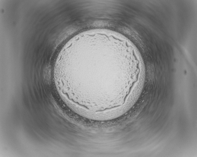 X0000059830016200511111731