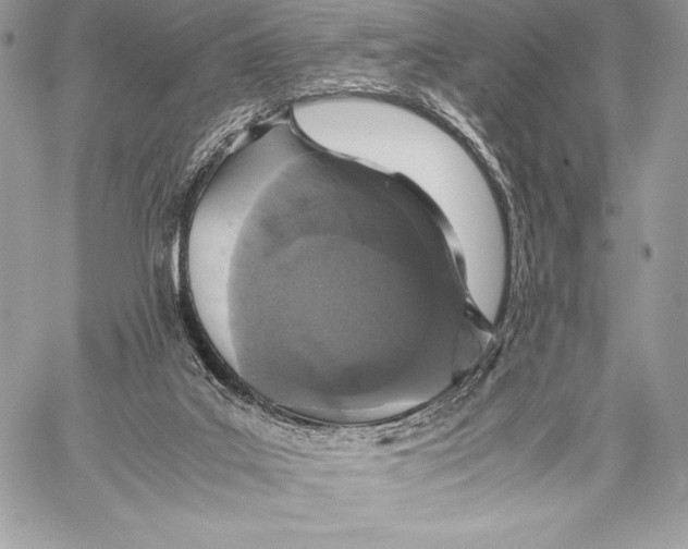 X0000059830019200511111730