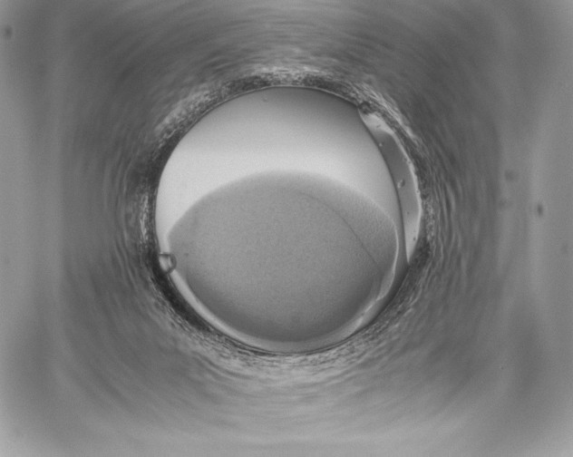 X0000059830023200511111730