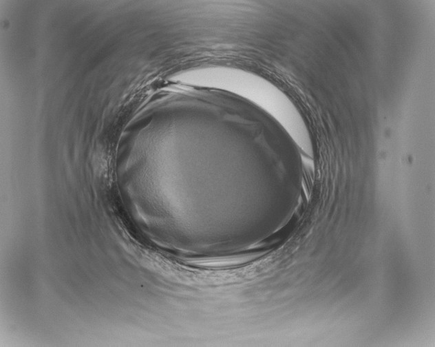 X0000059830031200511111730