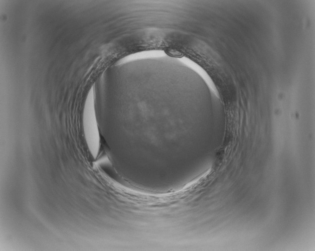 X0000059830035200511111730