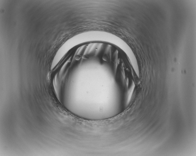 X0000059830041200511111730