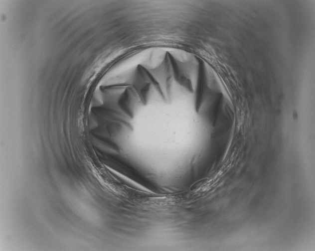 X0000059830050200511111729