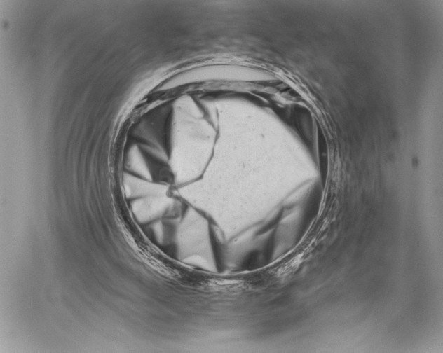 X0000059830055200511111729