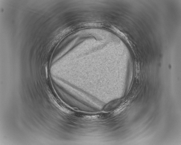 X0000059830061200511111729