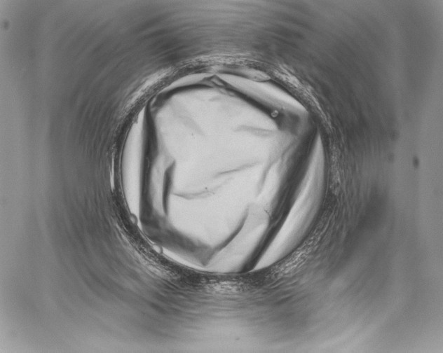 X0000059830062200511111729