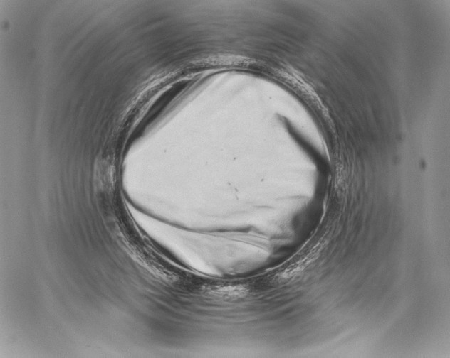 X0000059830063200511111729