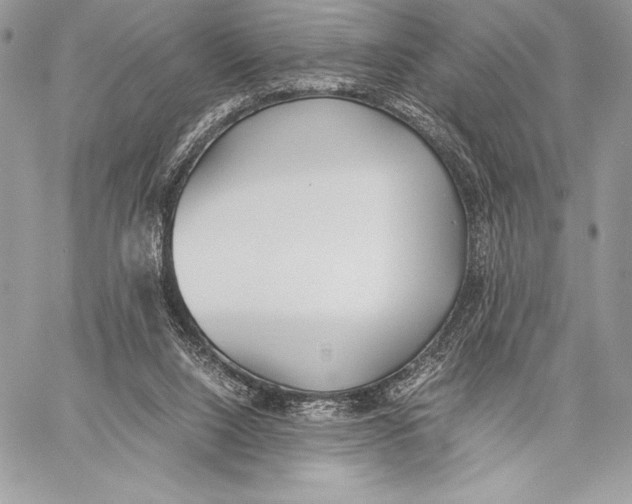X0000059830064200511111729