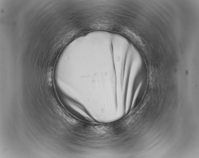 X0000059830065200511111729