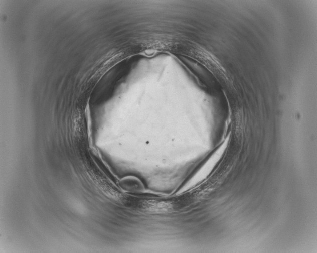 X0000059830073200511111730