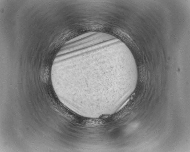 X0000059830077200511111730