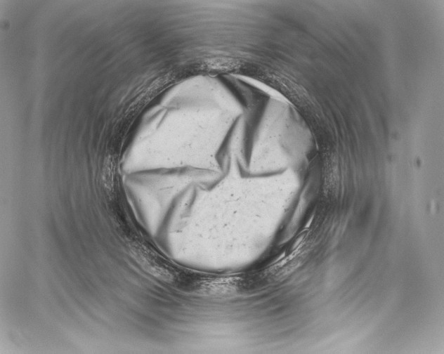 X0000059830078200511111730